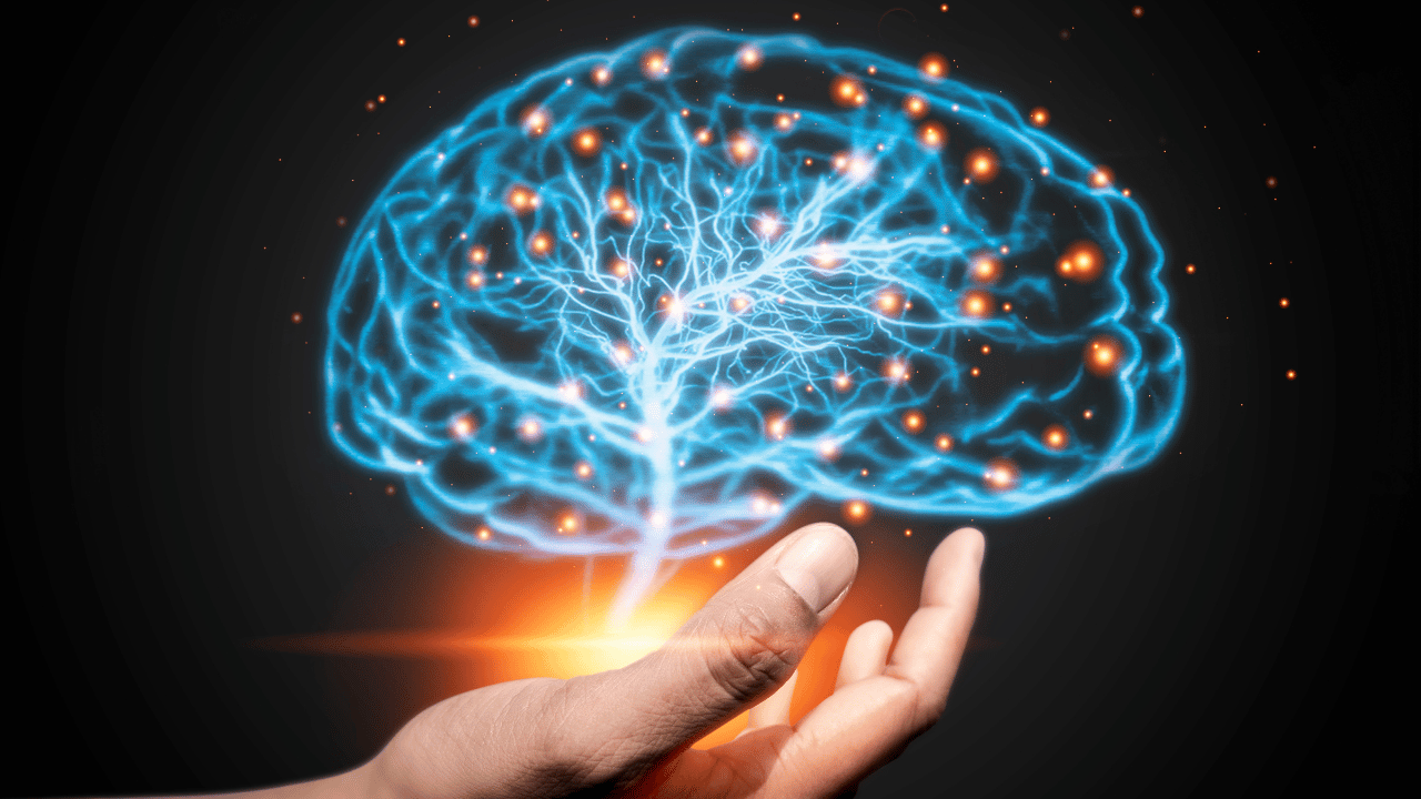 Brain Power! Ranking the Top Products to Support Brain Health
