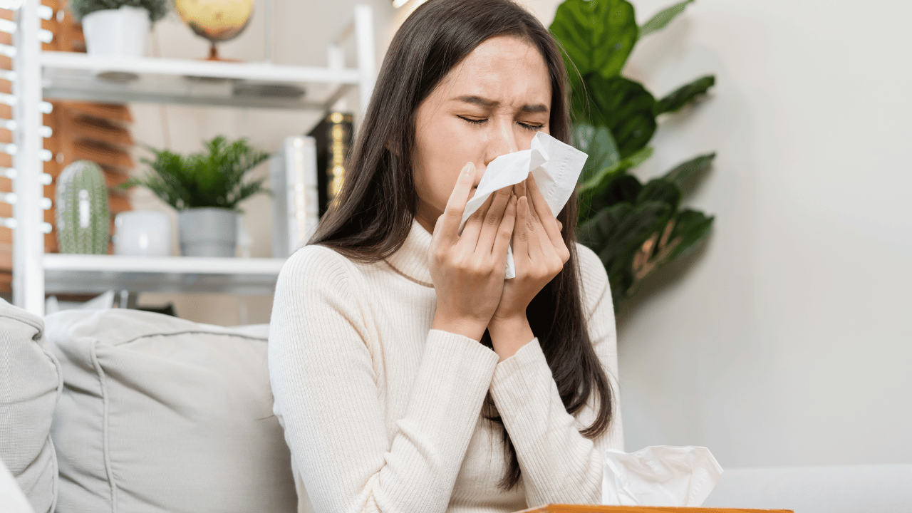 Sneezing Be Gone! 10 Best Allergy Relief Products That'll Have You Breathing Easier